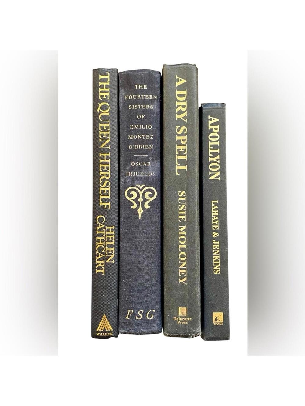 Vintage Black & Gold Book Collection for Styling, Staging, Decor - Picture 3 of 3